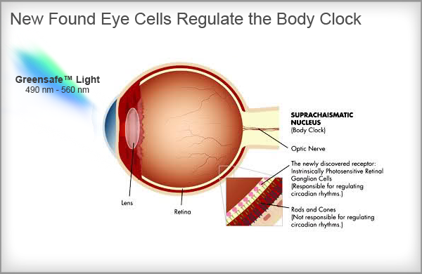 light therapy for circadian rhythm